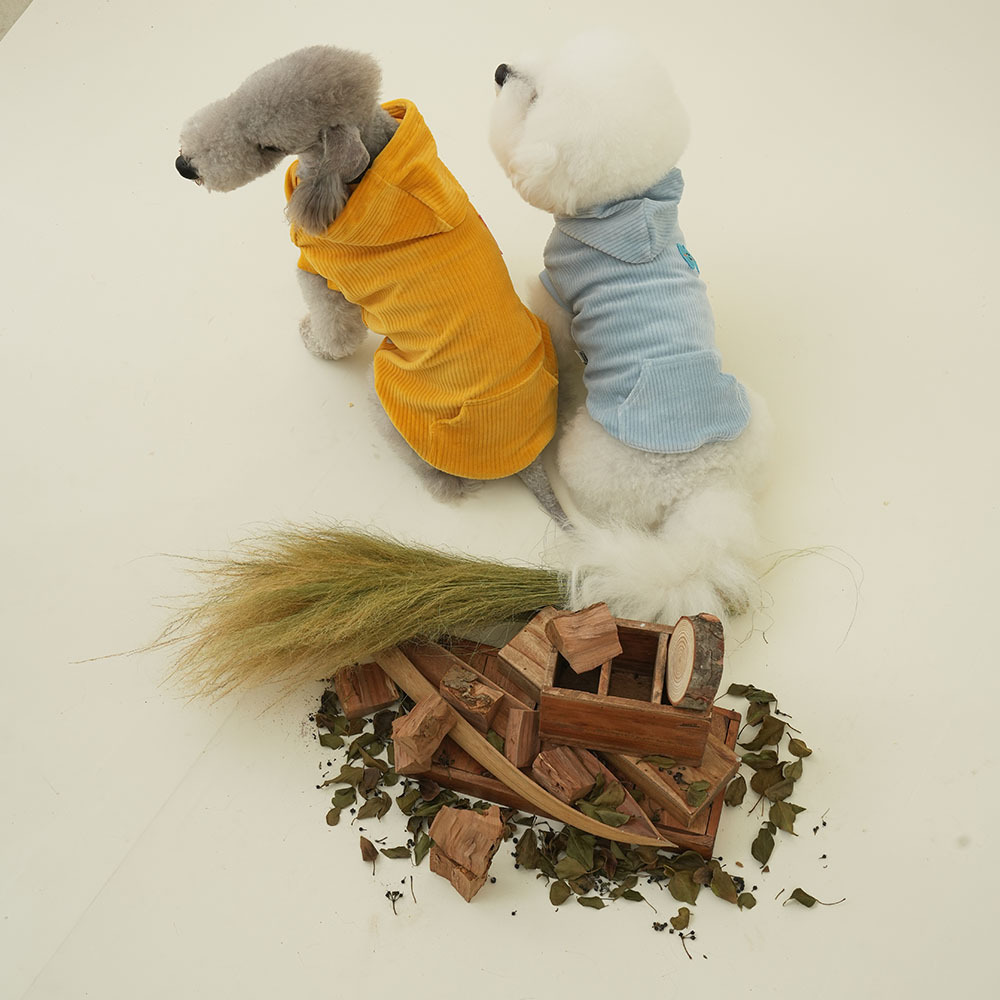 puppygallery｜蹦蹦HOODIE 燈芯絨連帽衣 (芥末黃)