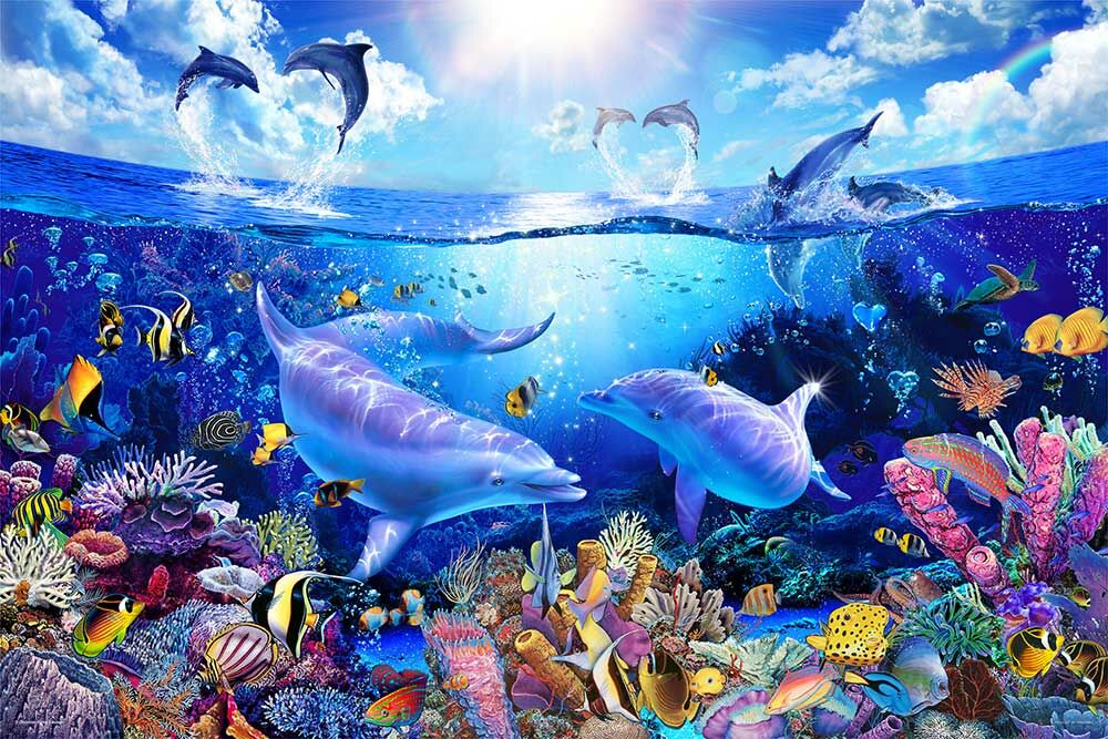 海豚節 (鋁箔面)