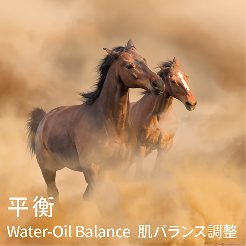 馬油 特性:平衡