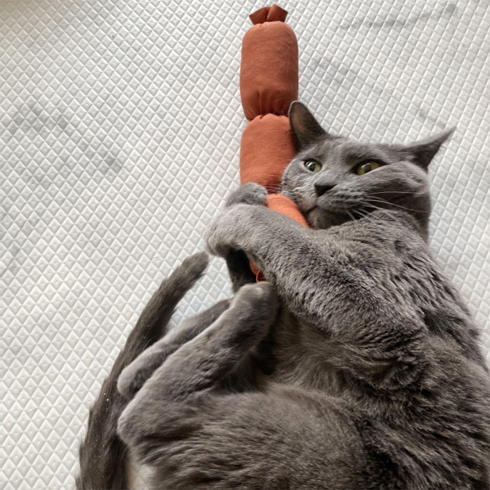 blank day | 三節棍腸