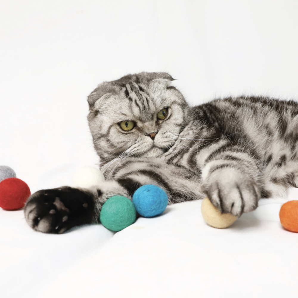 blank day | 彩色毛球六入組