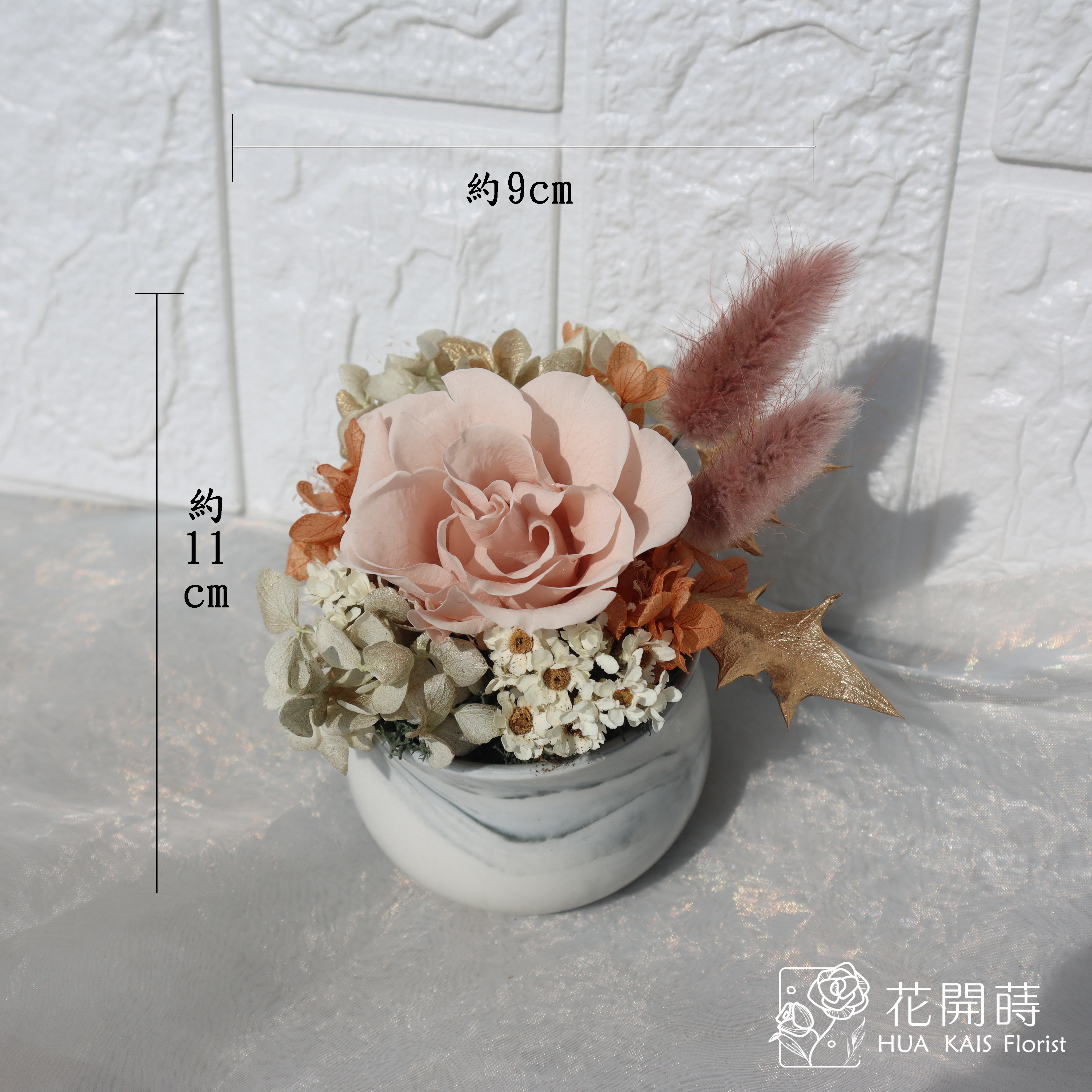 迷你小盆栽|伯爵金|永生玫瑰花|辦公室小桌花|永生花禮物