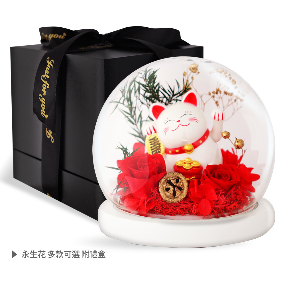 O'Pretty 歐沛媞 開運招財 永生花招財貓玻璃罩-多款