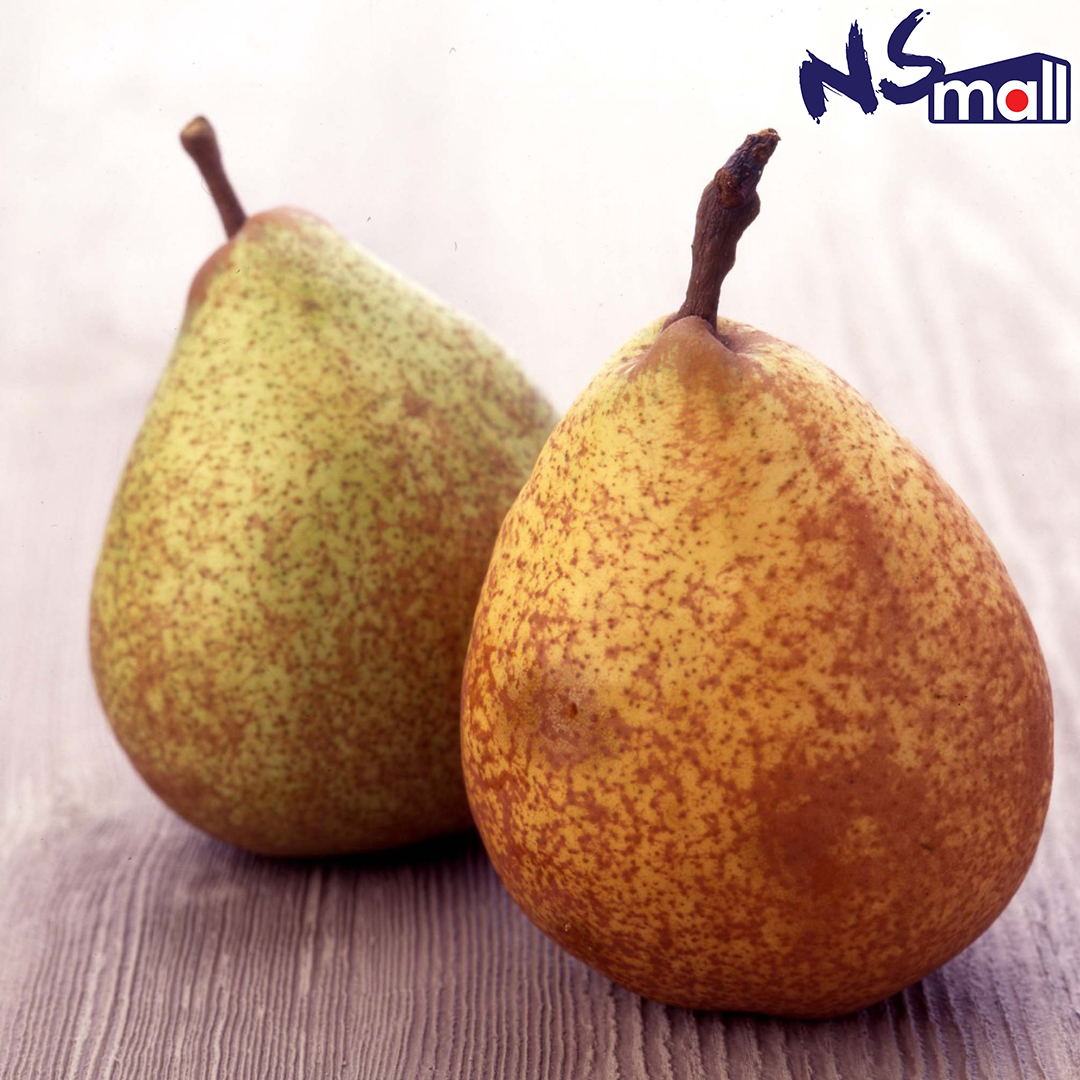 青森西洋梨 約5kg/箱 (9/10玉)