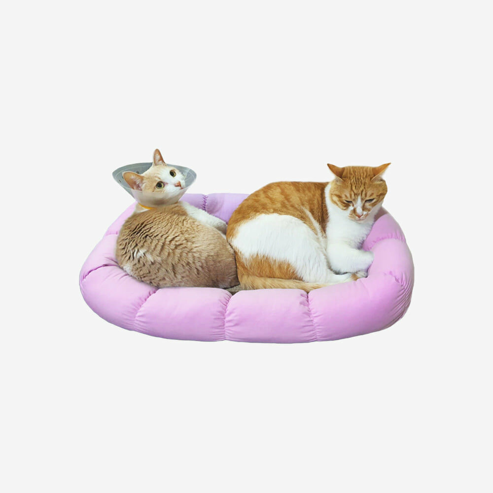 NrH,｜ 慵懶朵朵雲☁️睡窩（薰衣草紫）