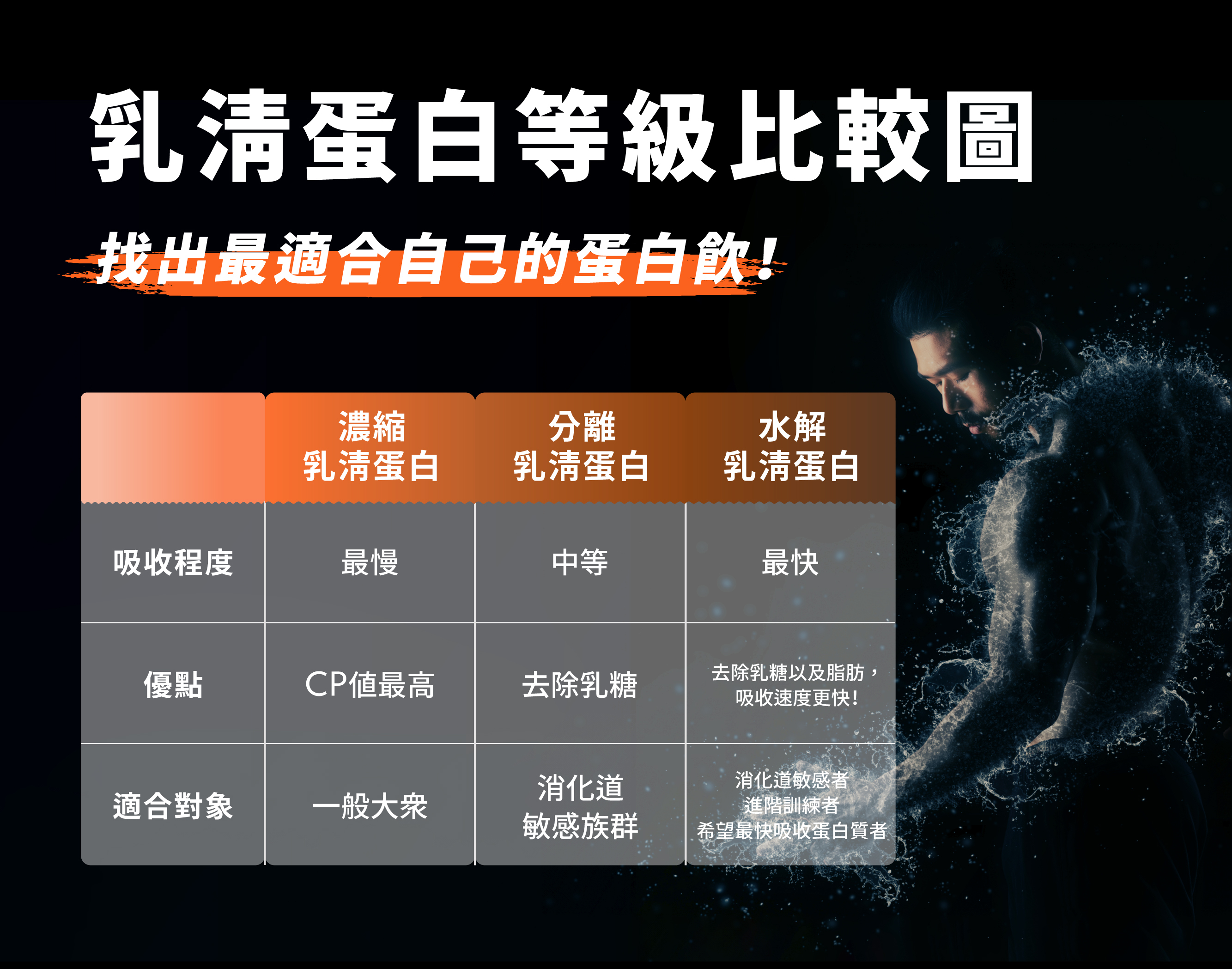 乳清蛋白等級比較圖