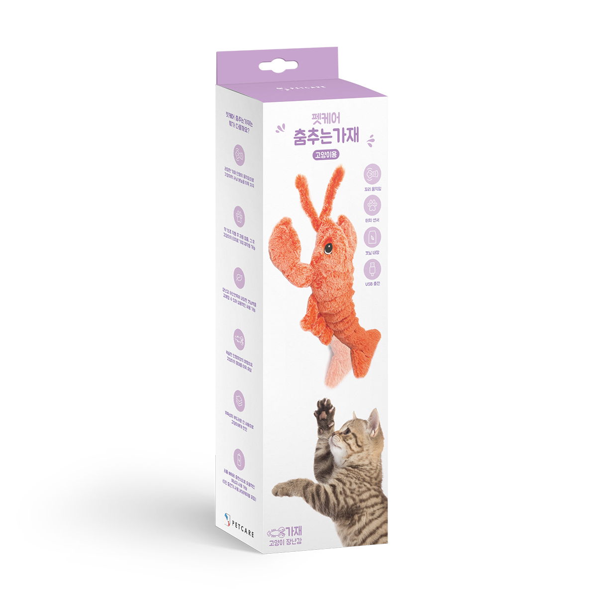 Petcare｜sit down plz的跳舞龍蝦