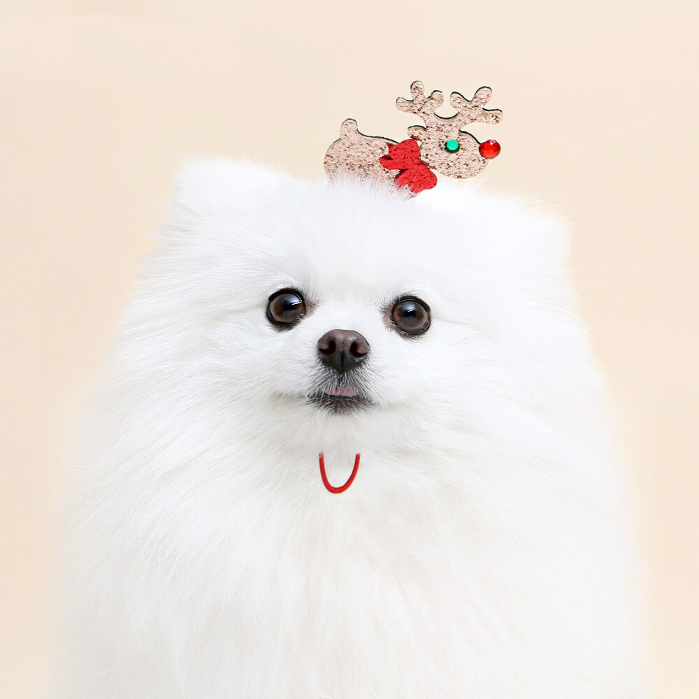 ITS DOG 閃亮魯道夫髮帶