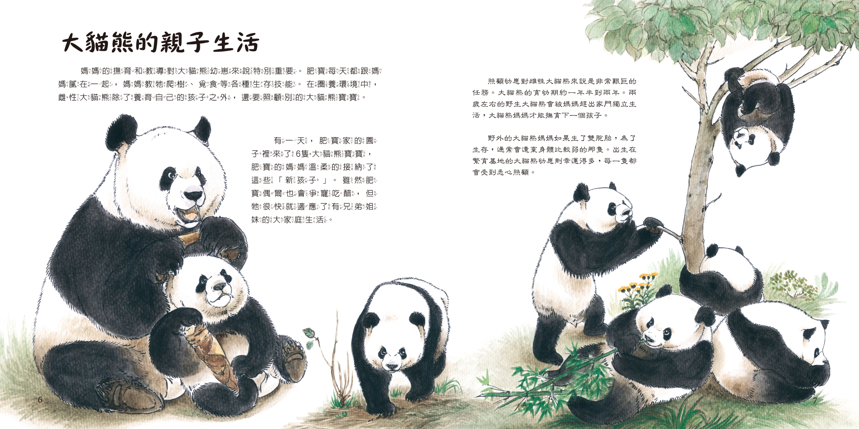《哇! 大貓熊》- 自然課哇系列