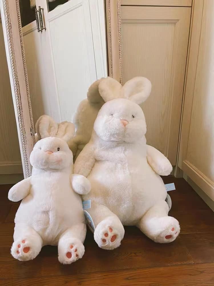 Fat Fat Rabbit Best Friend