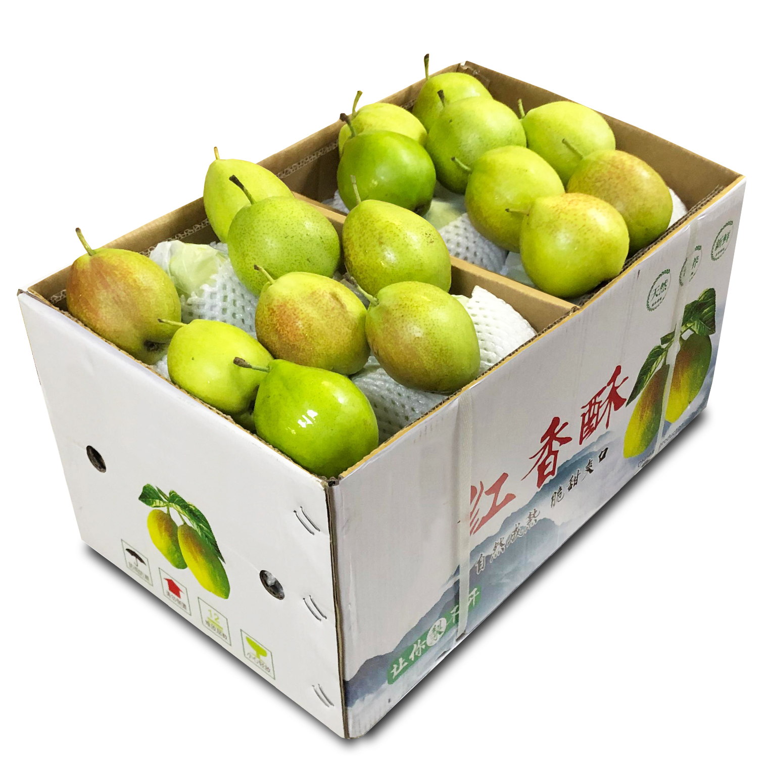 香梨 [原箱]