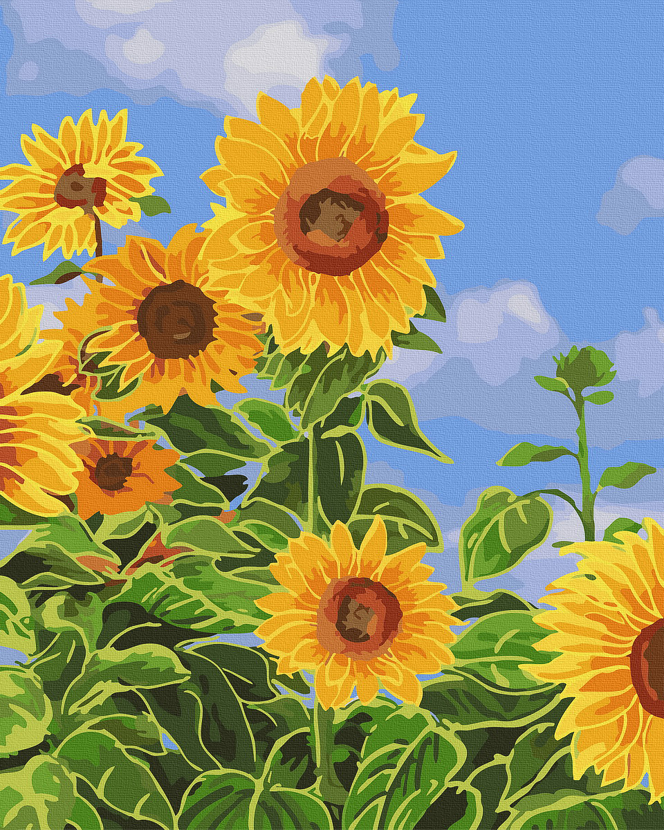 【DT030】 盛夏之花