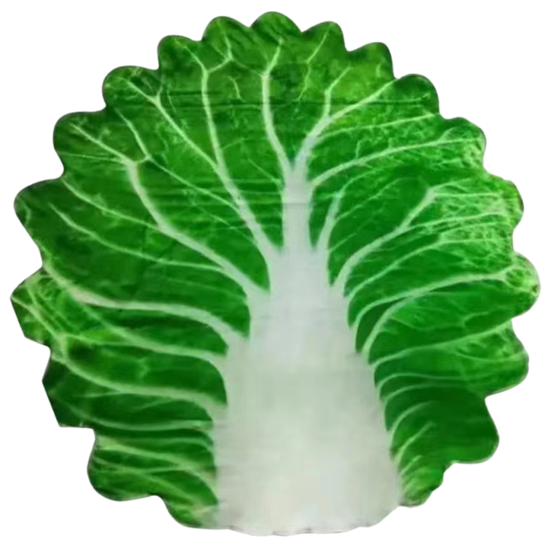 Vegetable 辦公室午睡毛毯菜葉| 用塊菜葉當被冚| 聖誕禮物| 交換禮物| 居家必備| 宅家