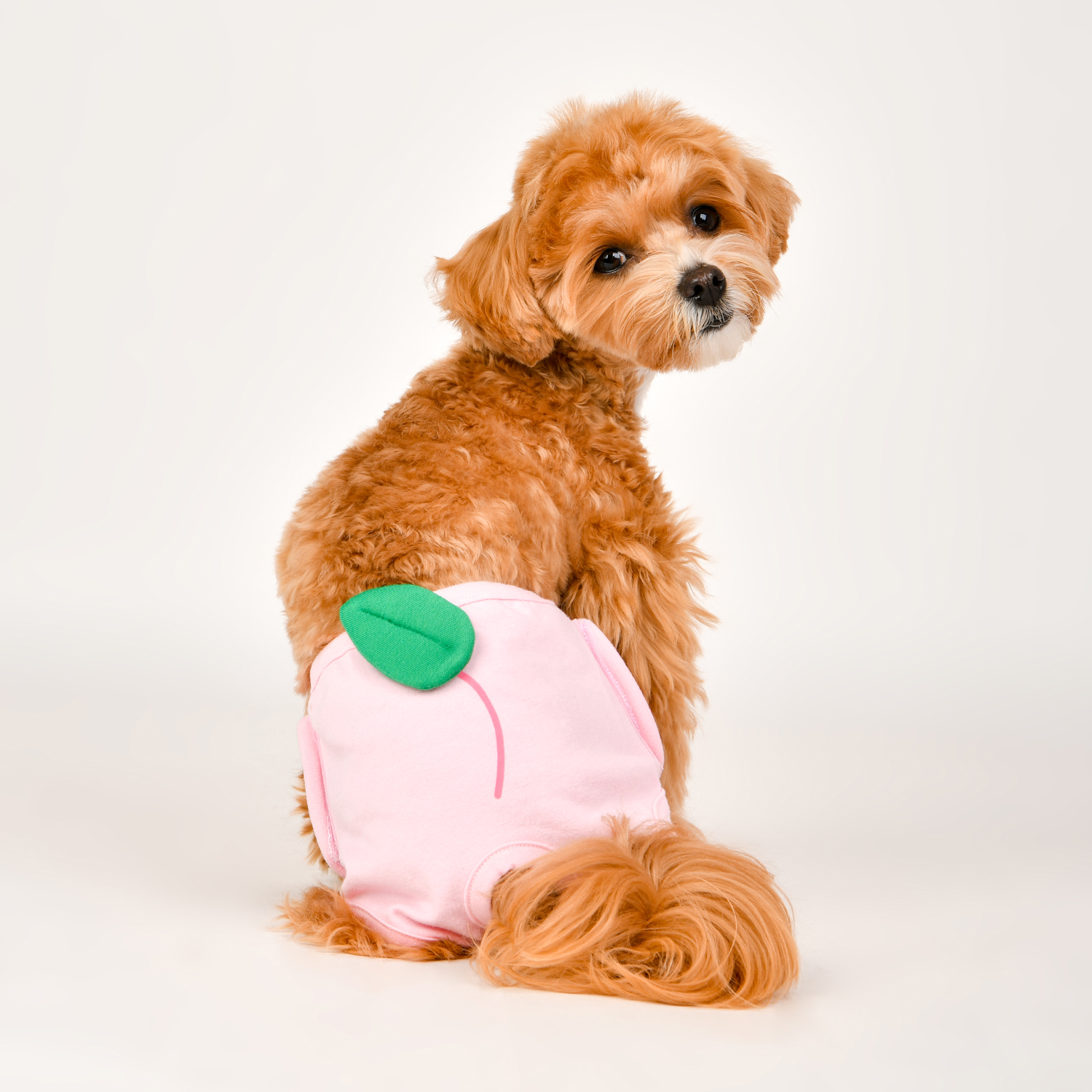 《 OLCHI 》水果造型生理褲