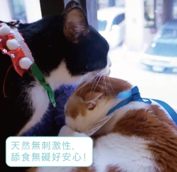 Hururu 柿單寧亮澤順毛乾擦澡 清潔x去味 無香型 200ml