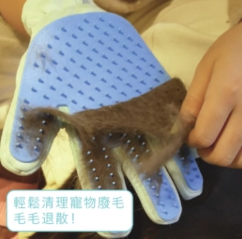 Hururu 毛毛柔順 寵物梳毛手套 單入​