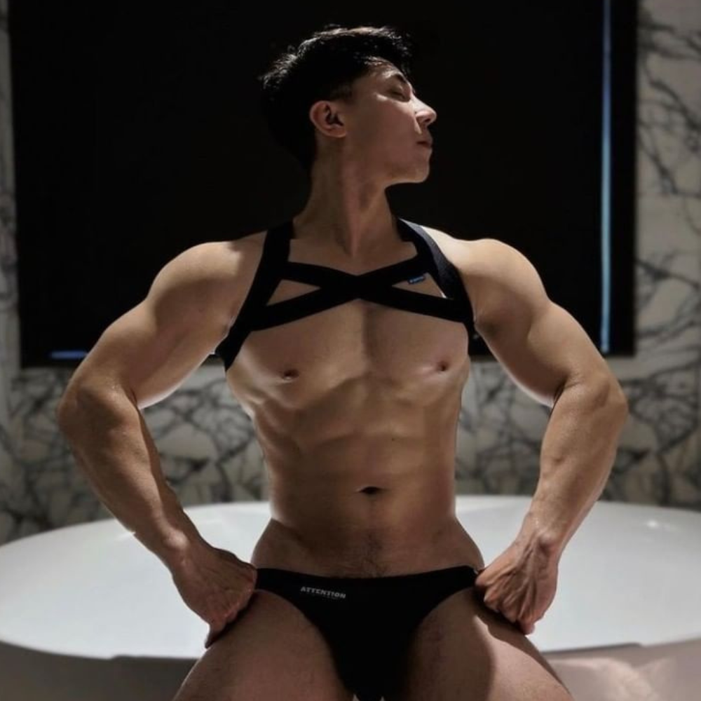 【極致款-黑色】ATTN胸甲