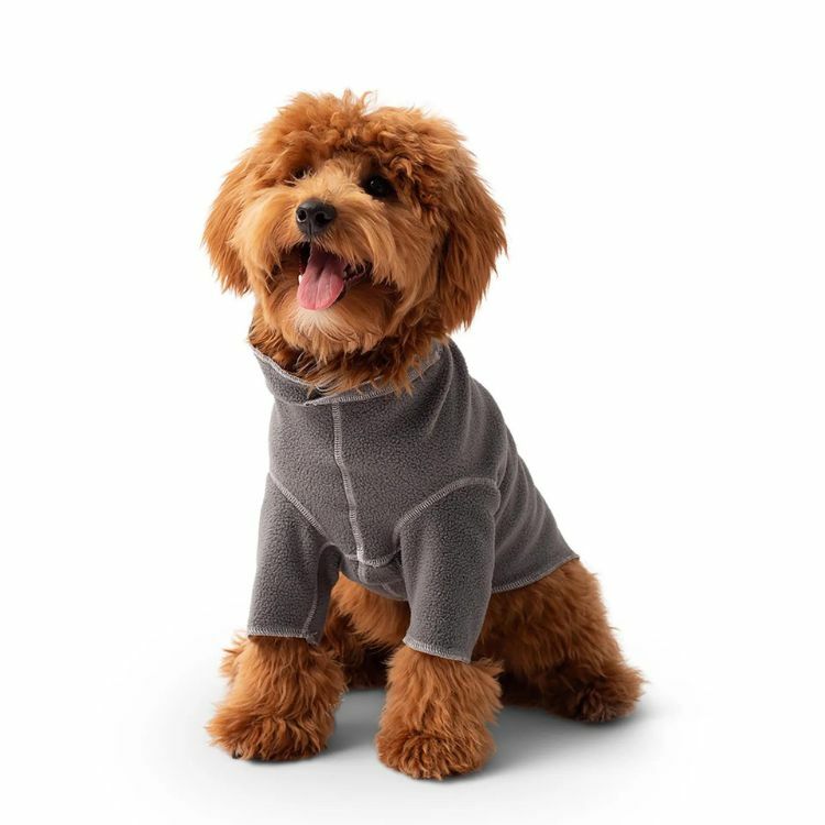 加拿大GF PET - 超細搖粒絨 GONDOLA彈性半袖底層衣/ 炭灰