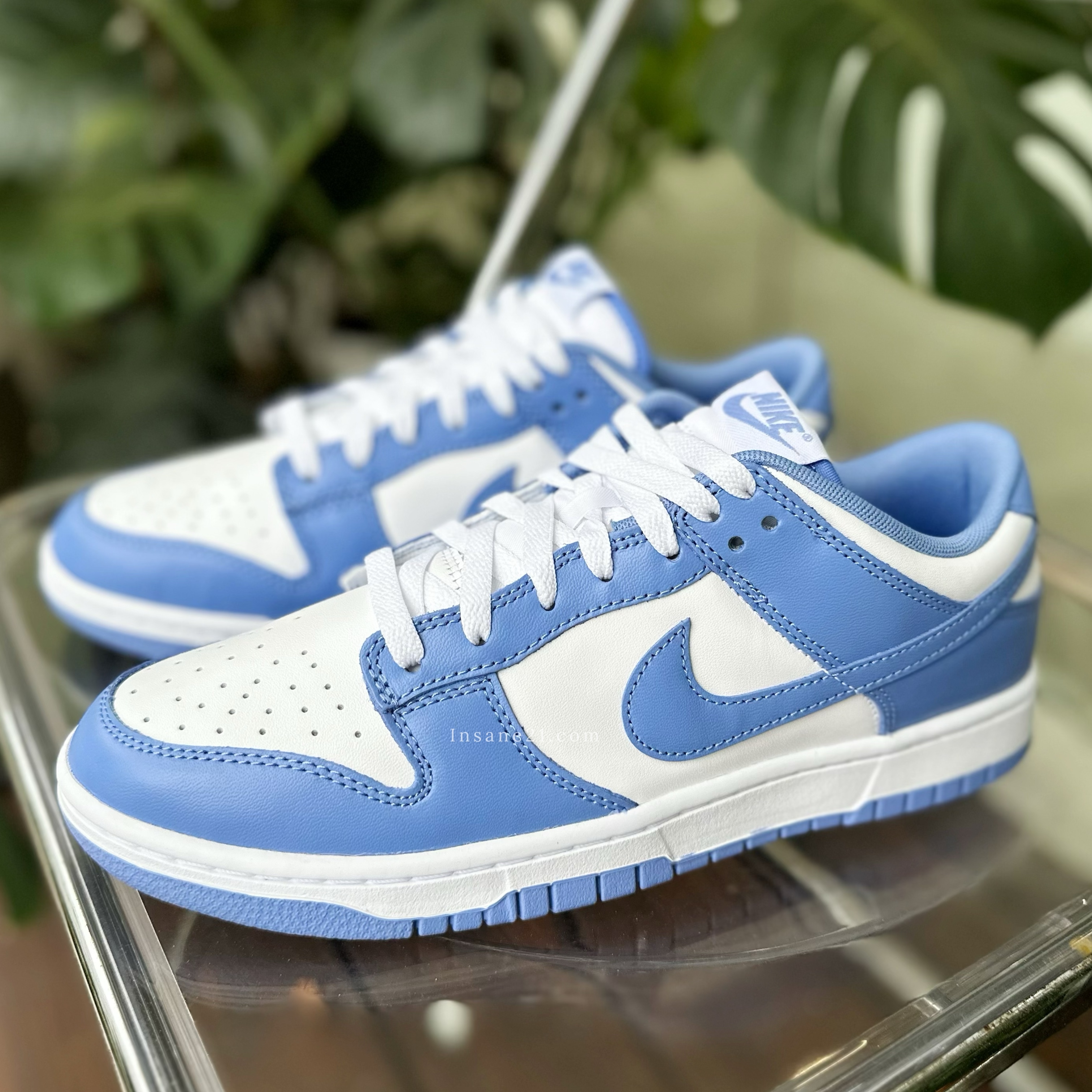 NIKE DUNK LOW POLAR BLUE 北極藍 DV0833-400
