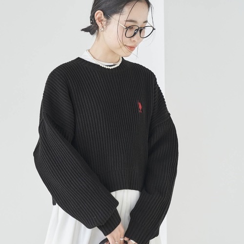 🇯🇵 新色 U.S. POLO ASSN. 針織 毛衣 長袖 短版 刺繡 / 現貨✨