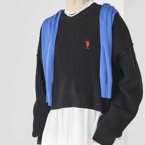 🇯🇵 新色 U.S. POLO ASSN. 針織 毛衣 長袖 短版 刺繡 / 現貨✨