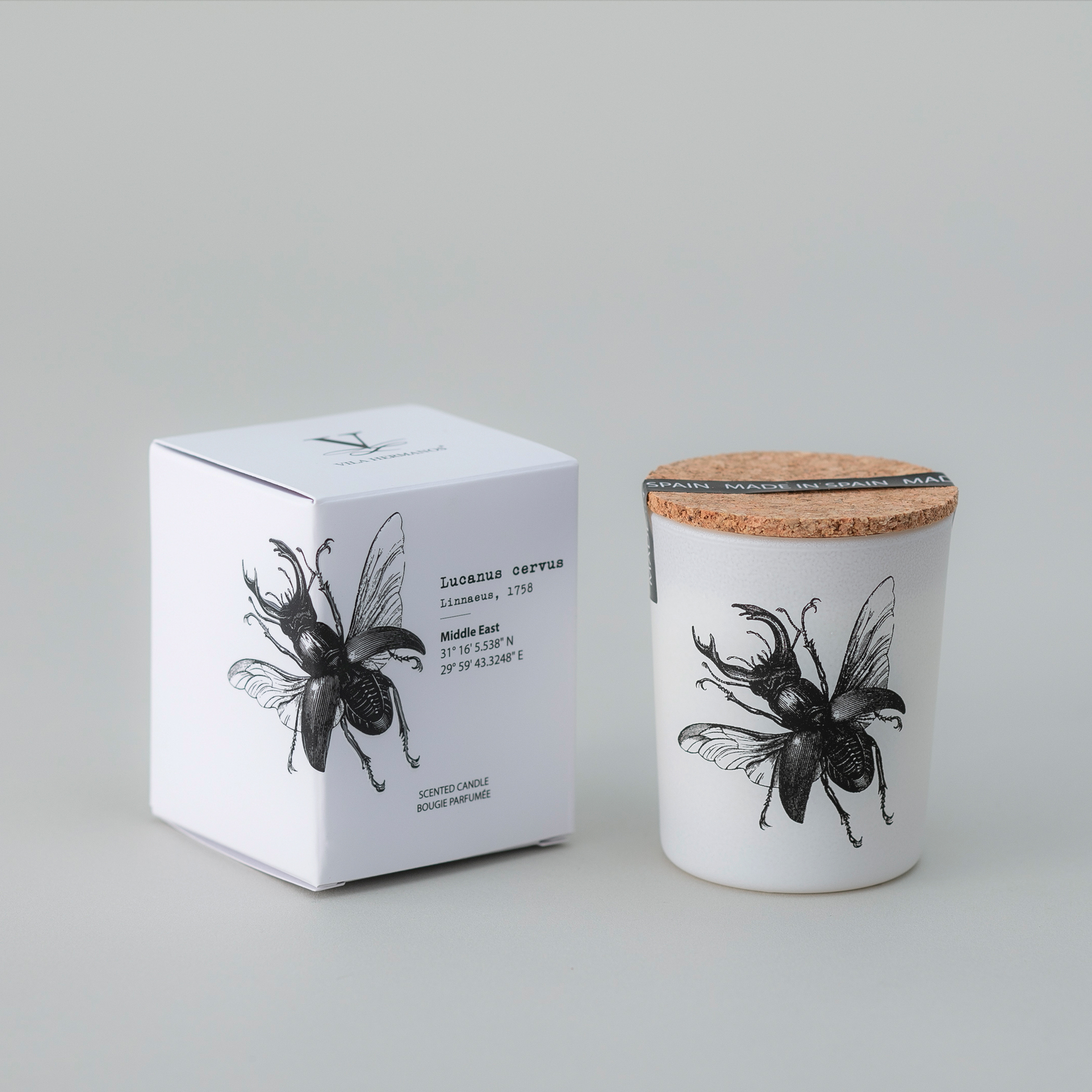 VILA HERMANOS Insect木蓋蠟燭-鍬形蟲/辛香