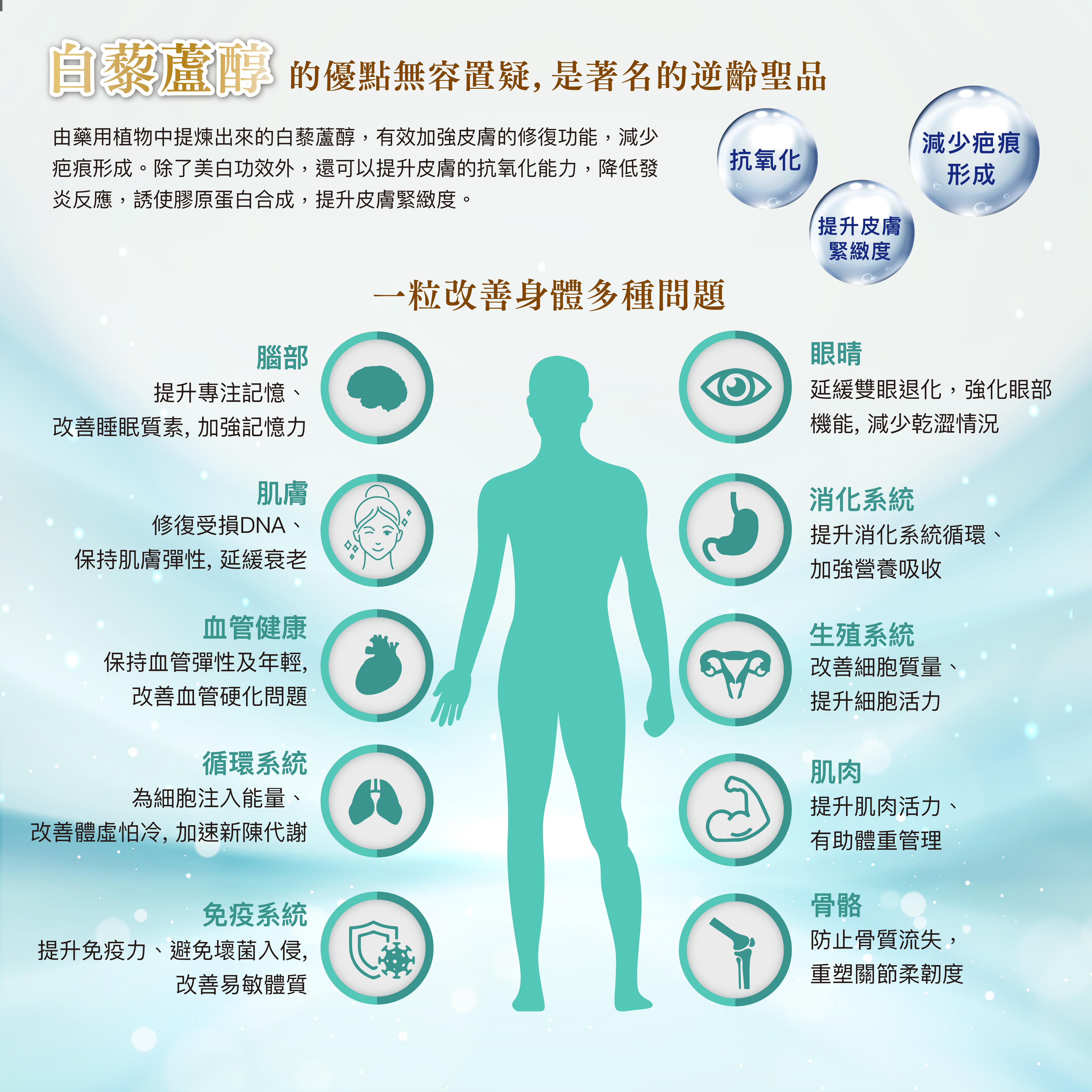 Youth Solution 松樹皮精華NMN逆齡因33000 (60粒)