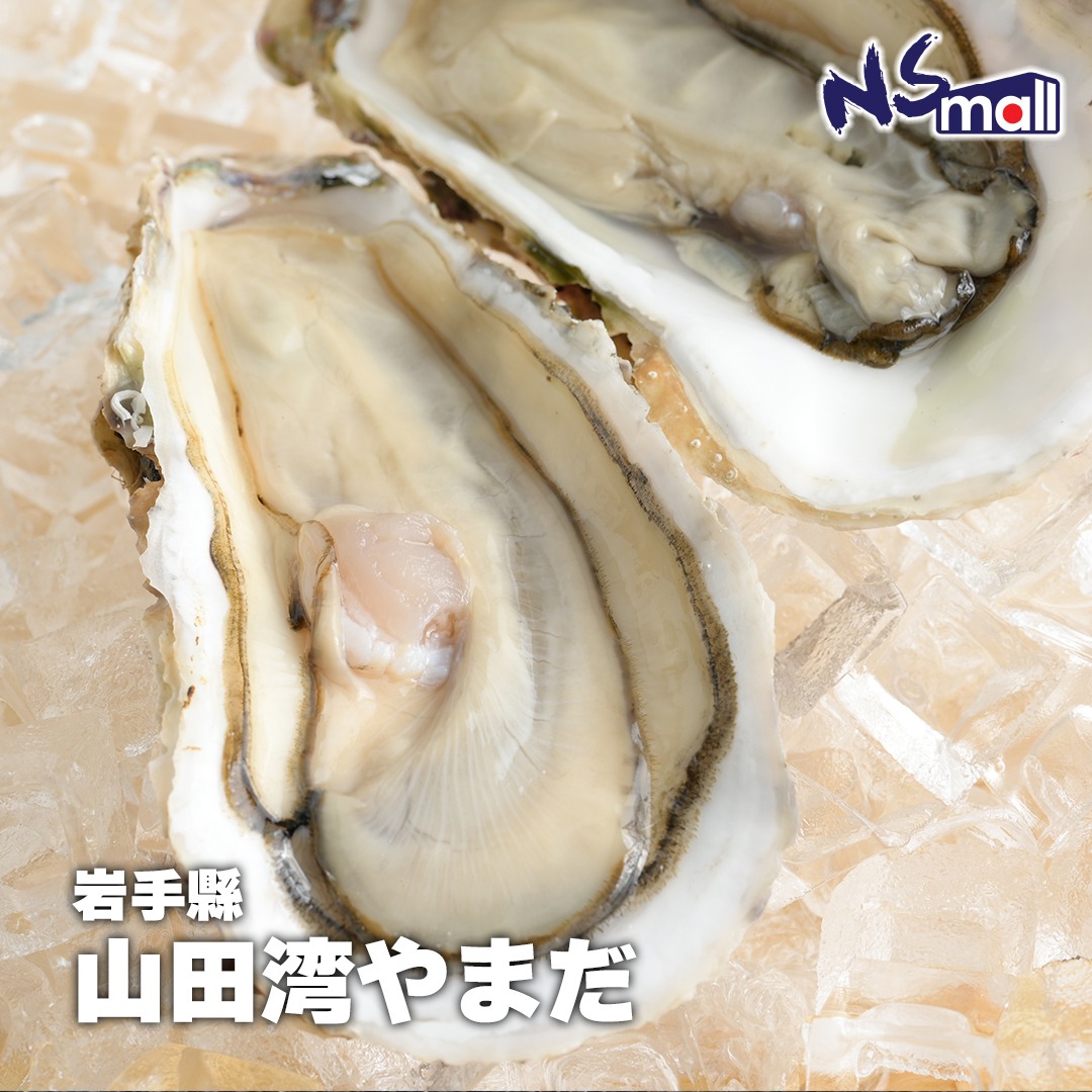 岩手 山田灣真蠔 約220-250g/隻