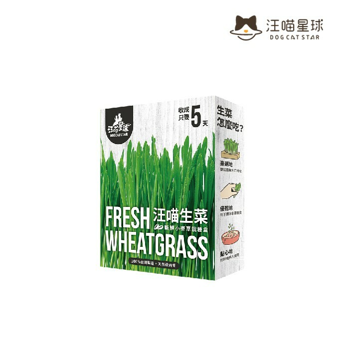 汪喵星球 貓草新鮮栽培盒 - 貓咪生菜