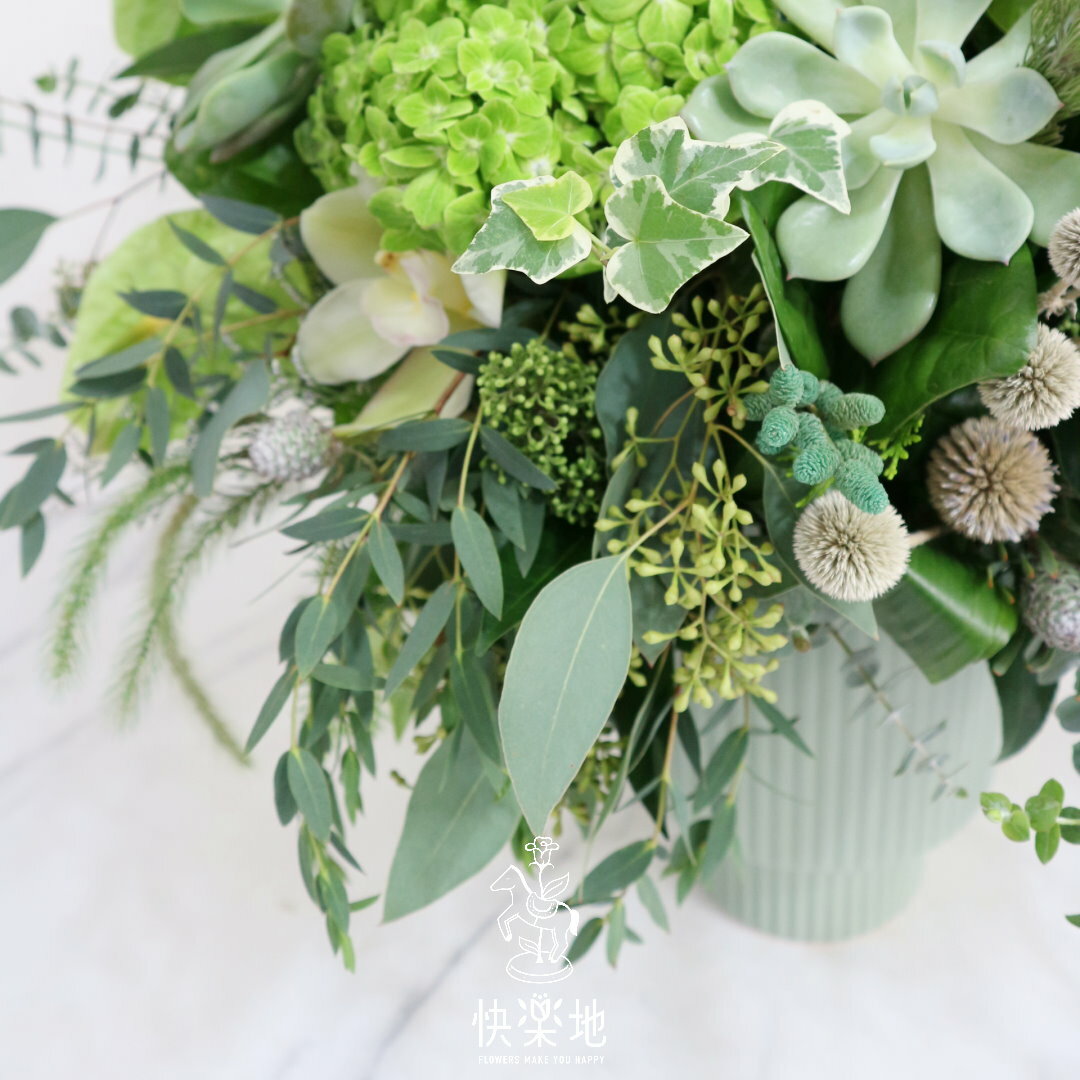 新綠日光 I 盆花  AF230568