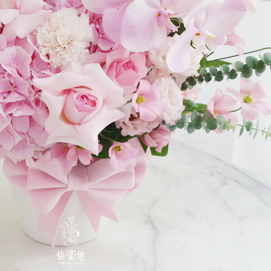粉嫩的小步舞曲 I 盆花 AF230350
