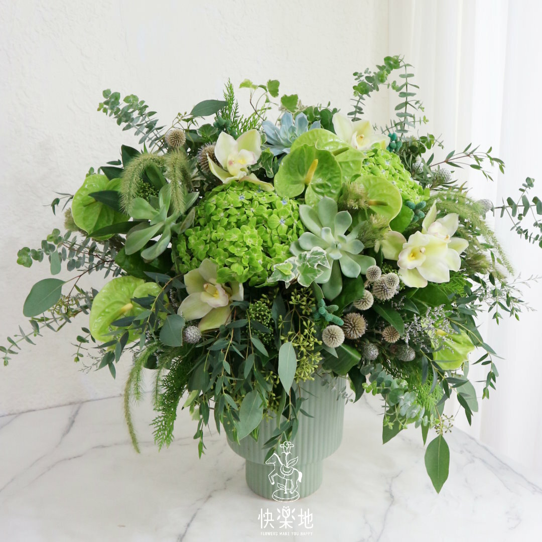 新綠日光 I 盆花  AF230568