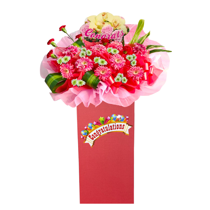 HCB76 ⭐⭐⭐⭐⭐member discount