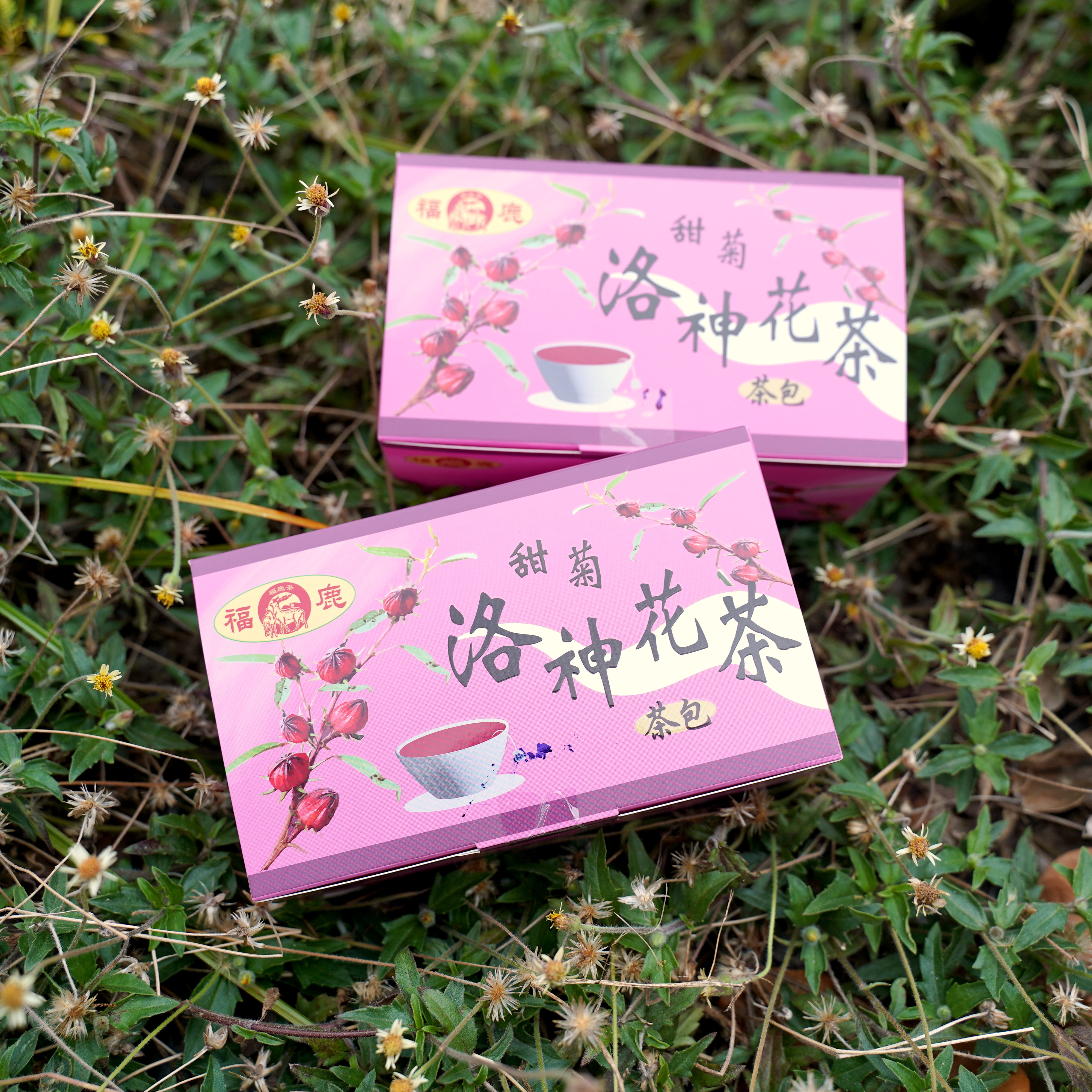 三景茗茶行】甜菊洛神茶包2.5g×20盒/箱購