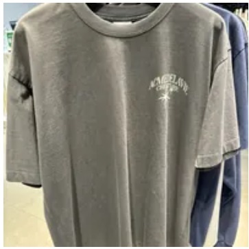 [S] ADLV CREATURE SHORT SLEEVE T-SHIRT,CHARCOAL, ADLV23FW-SSATRP-CHA (SAV269)