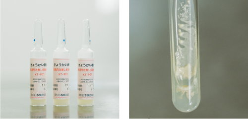而今JIKON|高砂TAKASAGO|AMALL清酒專門店|SAKE|日本酒|酒
