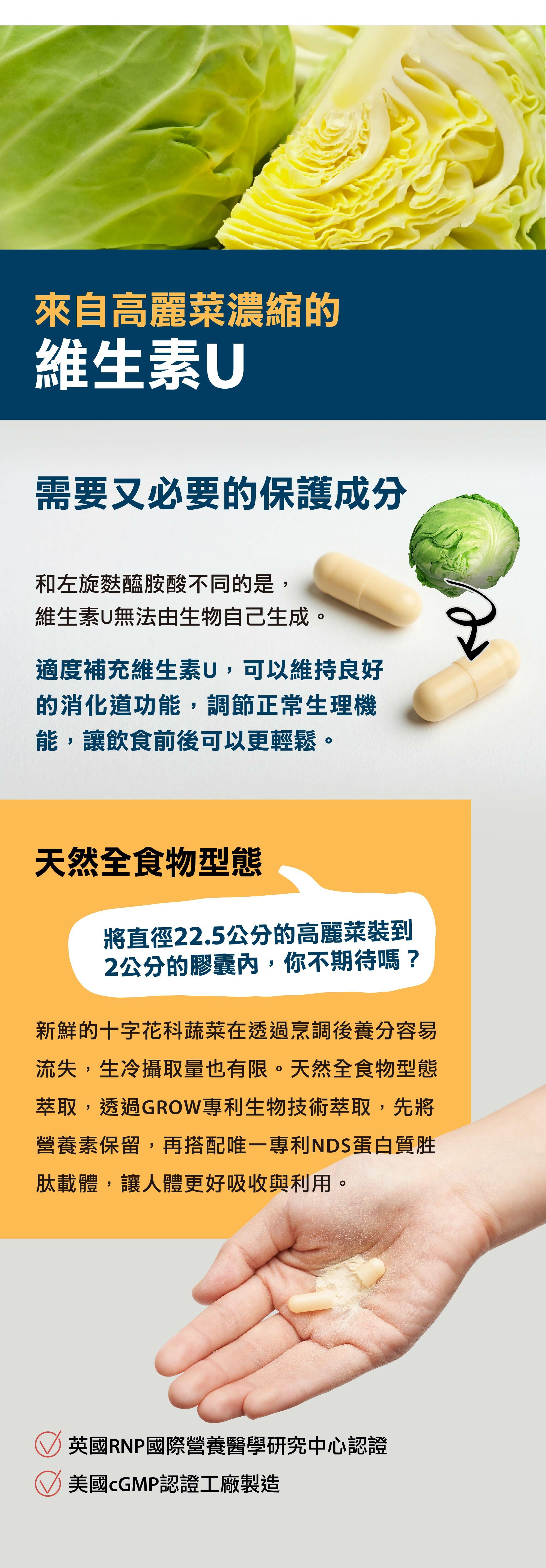 益生元衛-U來自高麗菜濃縮的維生素U-需要又必須的預防成分，可天天食用