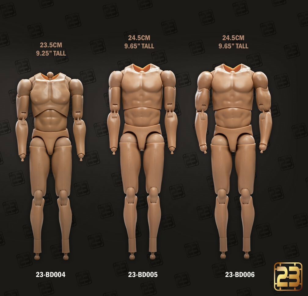 23toys 23-bd006 1/6 scale narrow shoulder body （現貨）