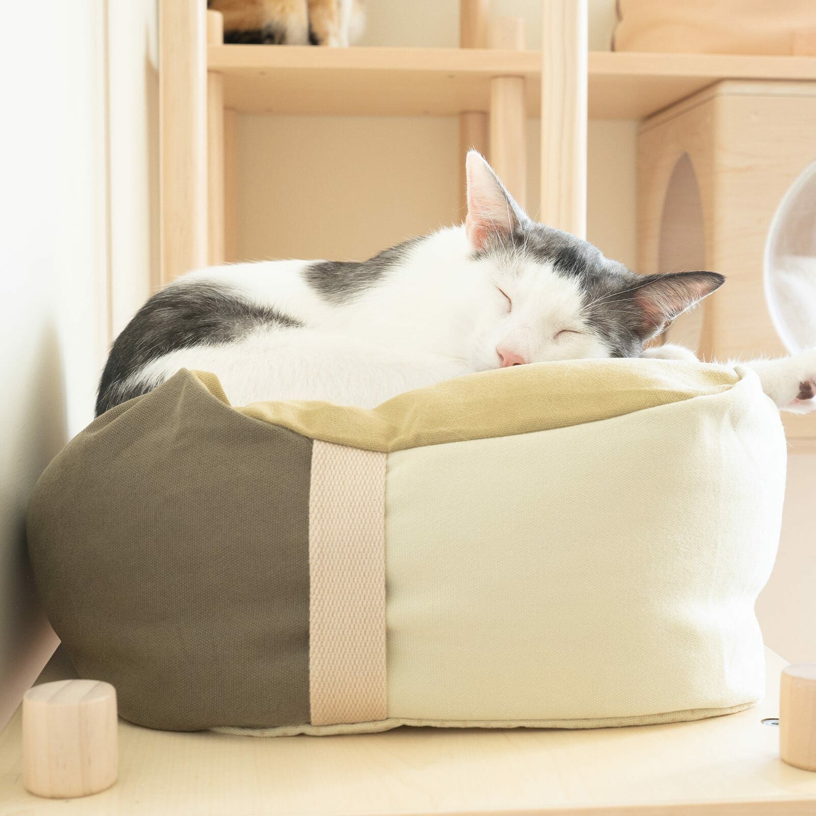 好味小姐 - 懶骨頭 慵懶躺床