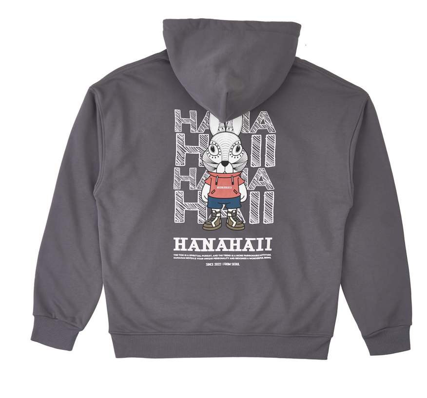 231113-H96S HANAHAII 連帽衛衣420g-  灰
