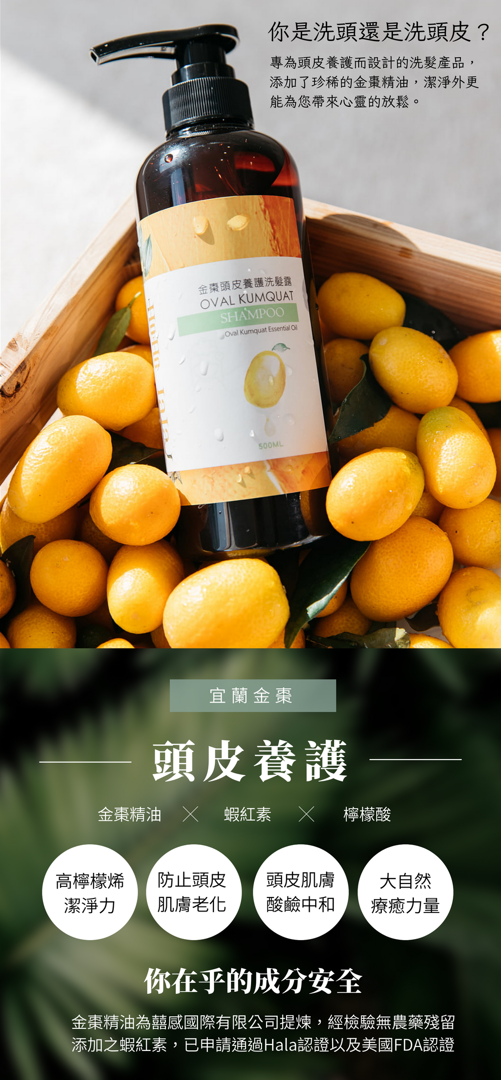 環保永續洗髮露