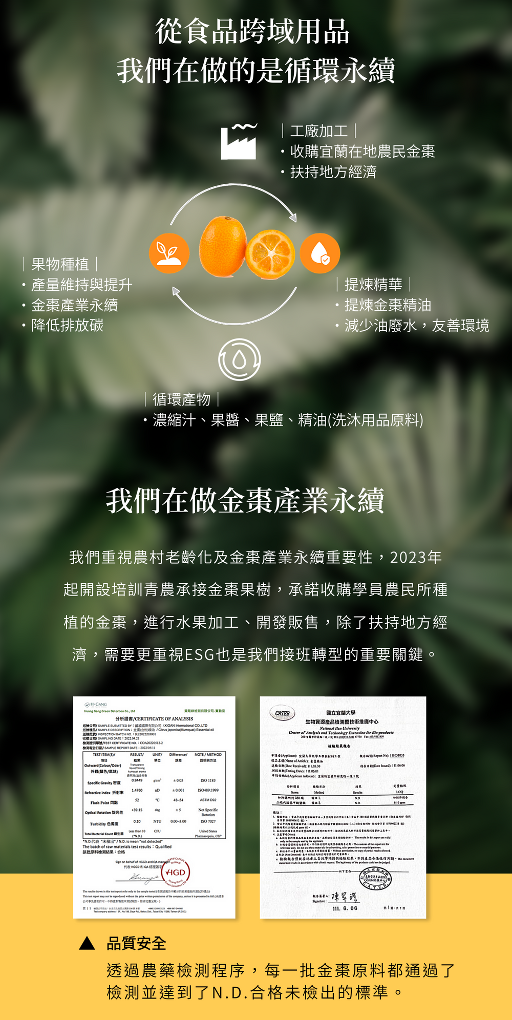 環保永續洗髮露