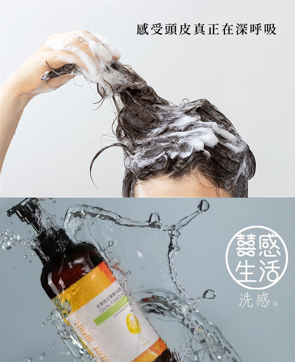 環保永續洗髮露