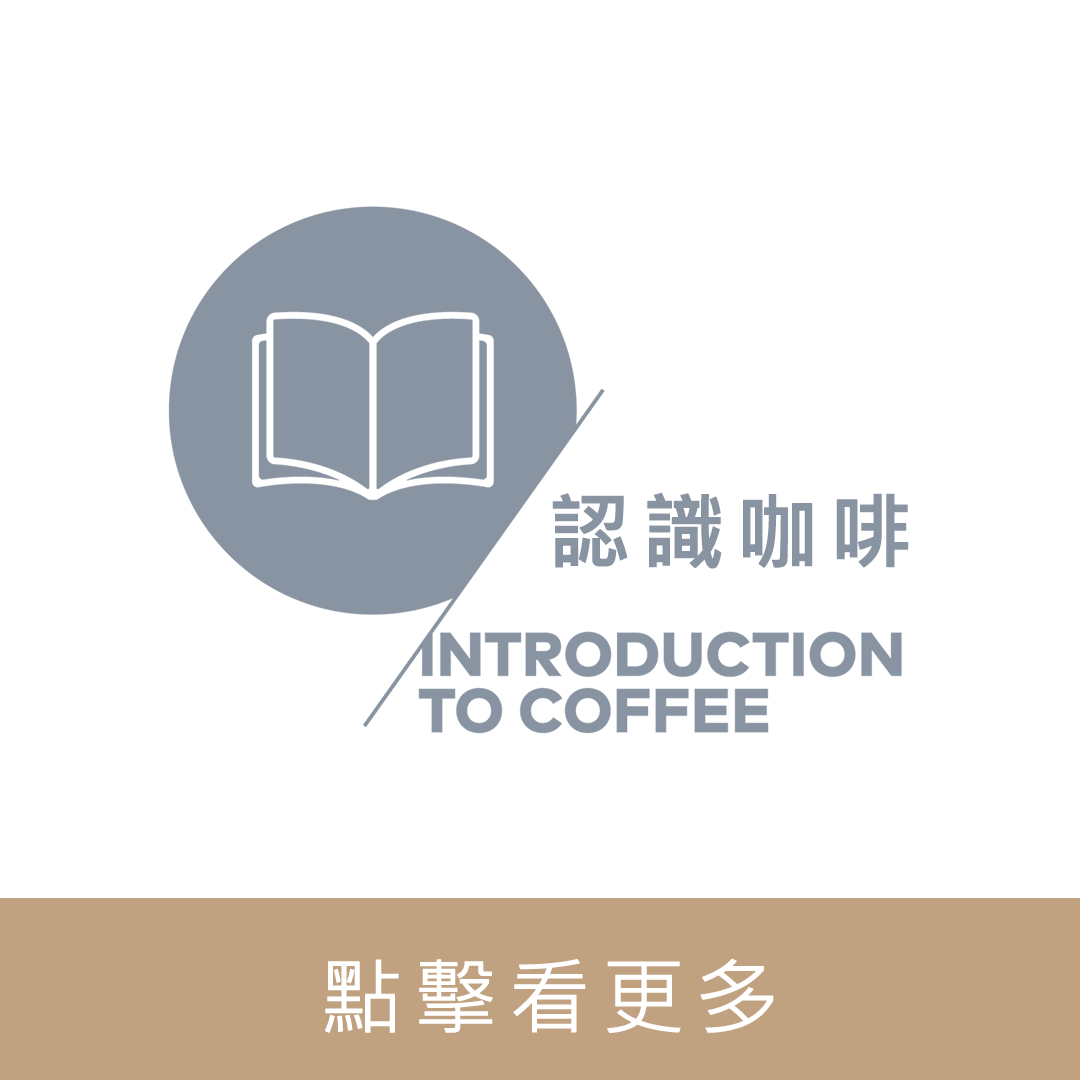 SCA CSP 精品咖啡實作全能零基礎 國際咖啡證照｜暖窩咖啡