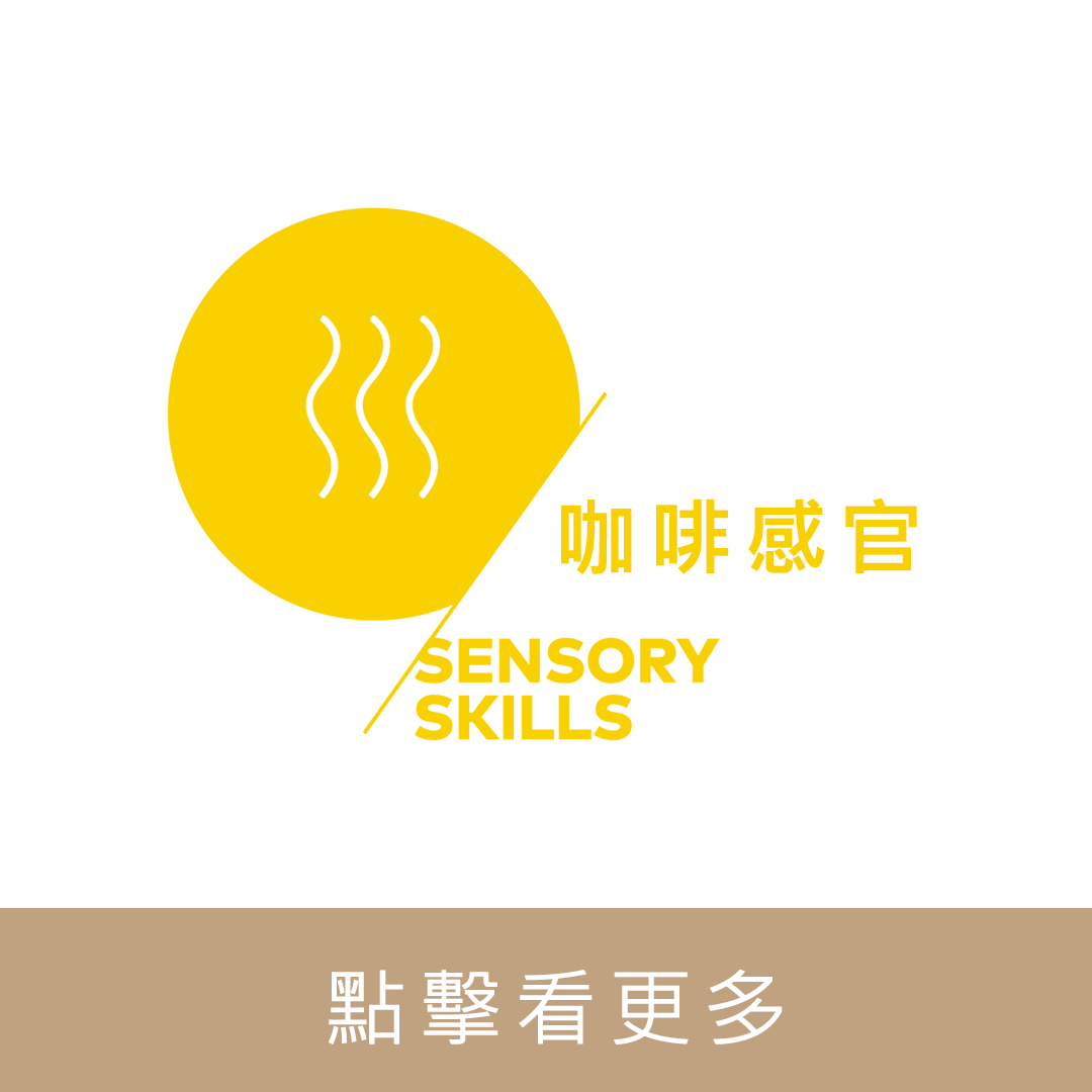 SCA CSP Sensory 咖啡感官杯測訓練 國際咖啡證照｜暖窩咖啡