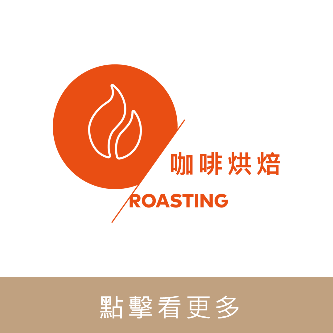 SCA CSP Roasting 咖啡烘焙 國際咖啡證照｜暖窩咖啡