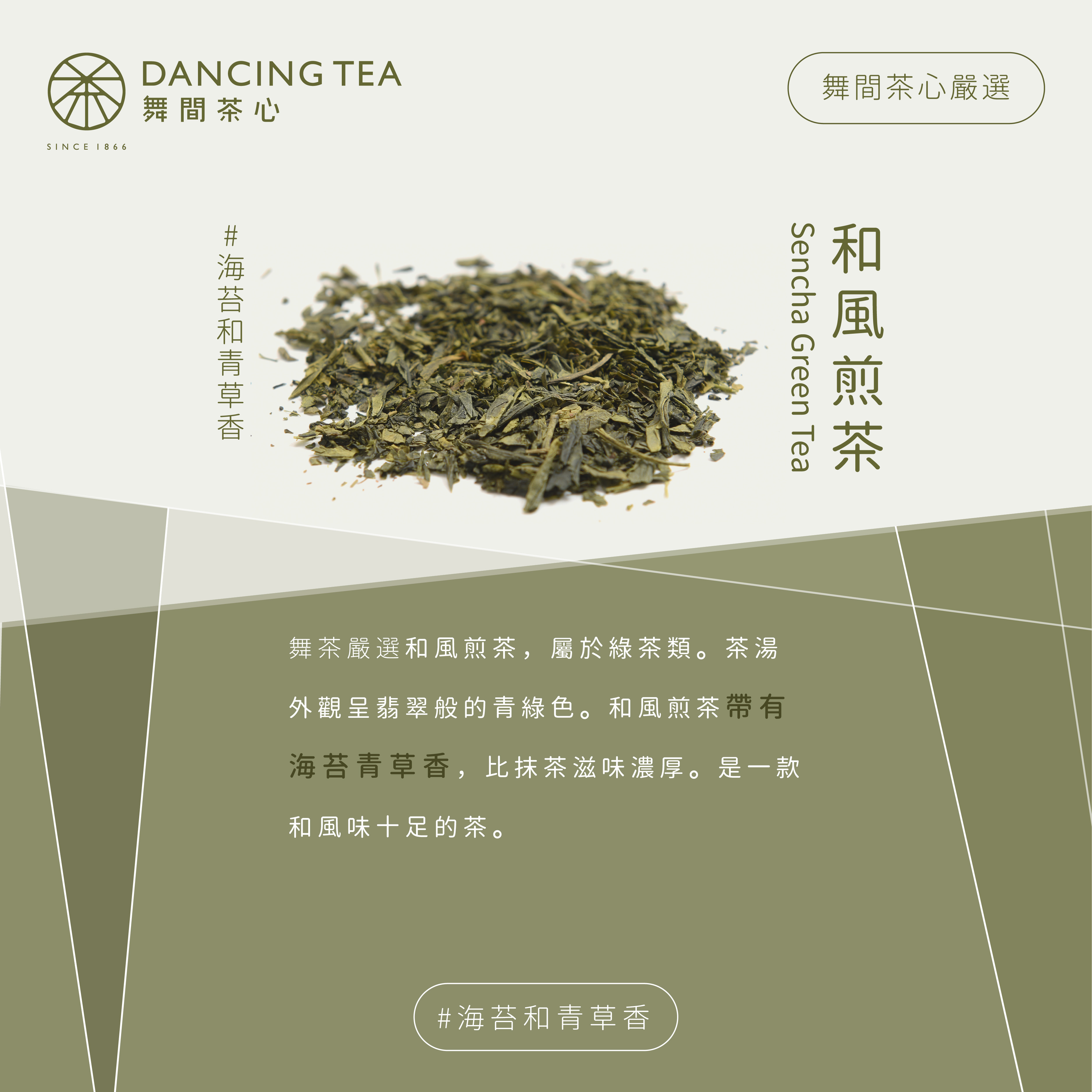 舞間茶心和風煎茶立體茶包50入