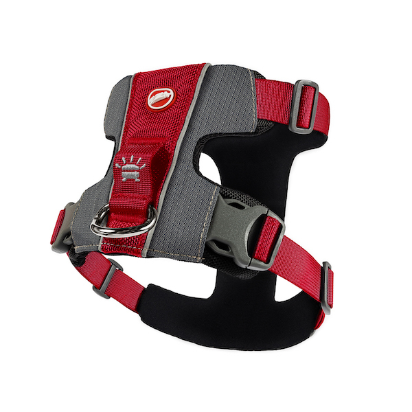 EzyDog X-LINK Harness RED