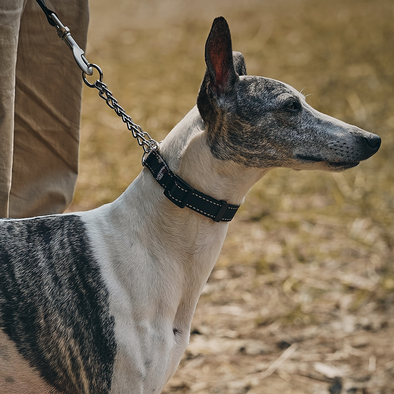 Zooland Half-Prong Training Collar Black (S/M)