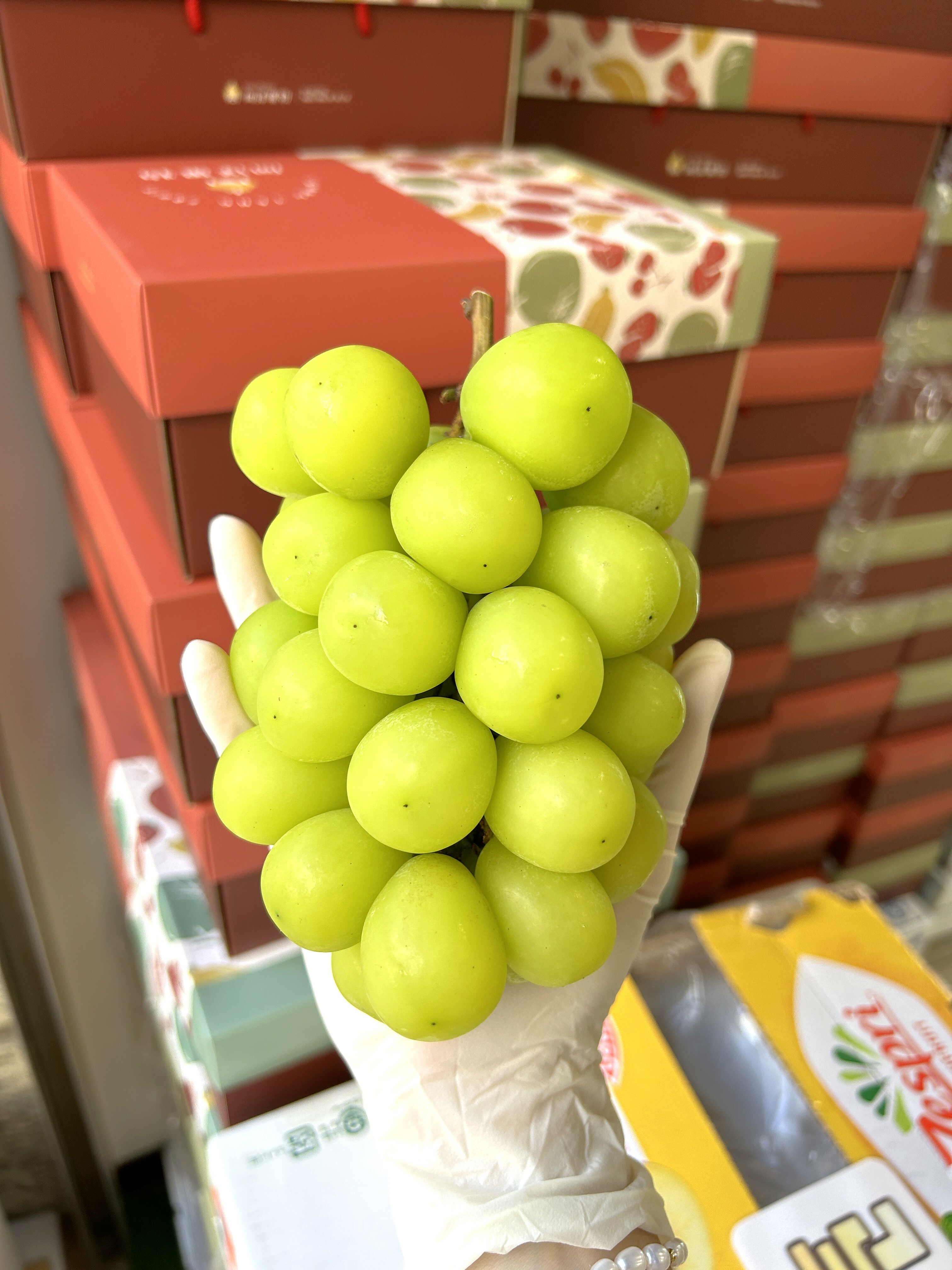 韓國進口麝香葡萄